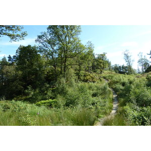 รูปถ่าย อังกฤษ(United Kingdom) ทรอสซักส์(The Trossachs) 2011-07 57