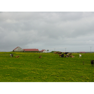 รูปถ่าย ไอซ์แลนด์(Iceland) ถนนหมายเลข 1 จากวีกไปสกาฟตาเฟลล์(Road 1 Vik to Skaftafell) 2003-06 2