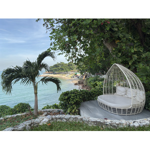 รูปถ่าย ไทย(Thailand) พัทยา(Pattaya) 2024-12 30