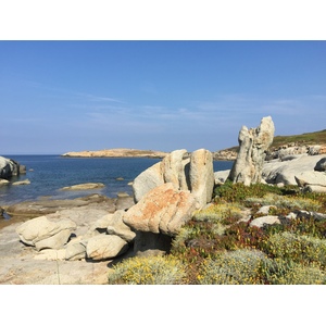 รูปถ่าย ฝรั่งเศส(France) คอร์สิคา(Corsica) แหลมปุนตาสปาโน(Punta Spano) 2015-05 8