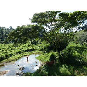 รูปถ่าย ฟิจิ(Fiji) แม่น้ำซิงกาโตกา(Sigatoka river) 2010-05 93