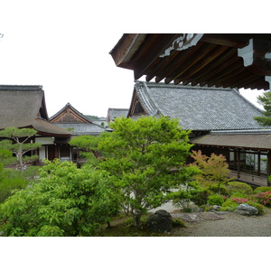 รูปถ่าย ญี่ปุ่น(Japan) เกียวโต(Kyoto) ตำหนักหลวงวัดนินนะจิ(Ninna ji imperial Residence) 2010-06 55