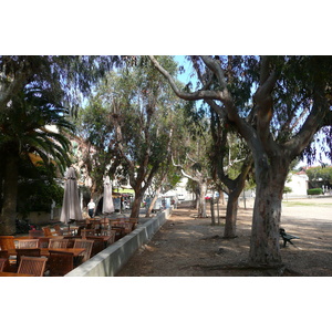 รูปถ่าย ฝรั่งเศส(France) เกาะปอร์เกอรอล(Porquerolles Island) ปอร์เกอรอล(Porquerolles) 2008-05 44