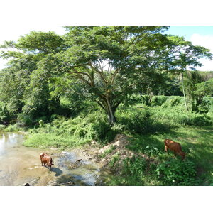รูปถ่าย ฟิจิ(Fiji) แม่น้ำซิงกาโตกา(Sigatoka river) 2010-05 105