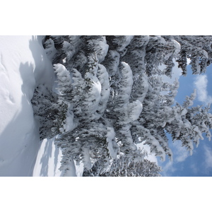รูปถ่าย ฝรั่งเศส(France) เลทรัววาเล(Les 3 Vallees) 2013-03 175