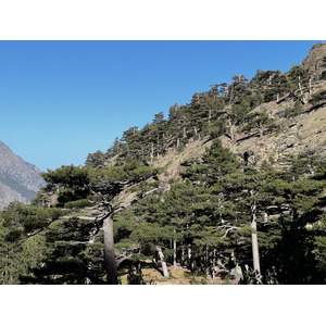 รูปถ่าย ฝรั่งเศส(France) คอร์สิคา(Corsica) ภูเขามอนเตชินโต(Monte Cinto) 2023-10 159