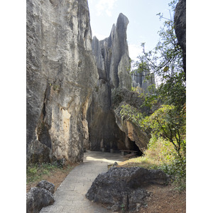 รูปถ่าย จีน(China) ป่าหินสือหลิน(Shilin Stone Forest) 2026-01 372