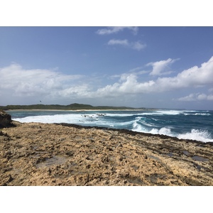 รูปถ่าย กวาเดอลูป(Guadeloupe) แหลมคาสเซิลพอยต์(Castle Point) 2021-02 140