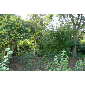 รูปถ่าย ฝรั่งเศส(France) ปารีส(Paris) สวนพันธ์ุพืช(Jardin des Plantes) 2007-08 152