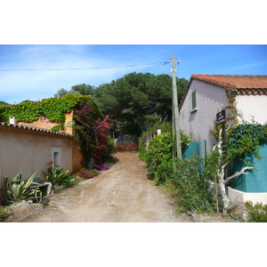 รูปถ่าย ฝรั่งเศส(France) เกาะปอร์เกอรอล(Porquerolles Island) ปอร์เกอรอล(Porquerolles) 2008-05 28