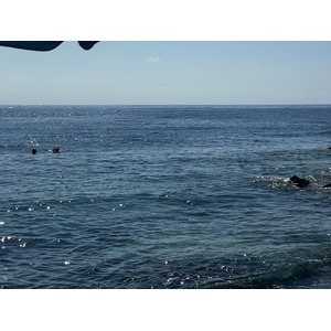 รูปถ่าย ฝรั่งเศส(France) คอร์สิคา(Corsica) นอนซา(Nonza) 2022-07 38