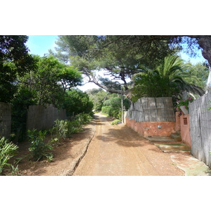 รูปถ่าย ฝรั่งเศส(France) เกาะปอร์เกอรอล(Porquerolles Island) ปอร์เกอรอล(Porquerolles) 2008-05 25