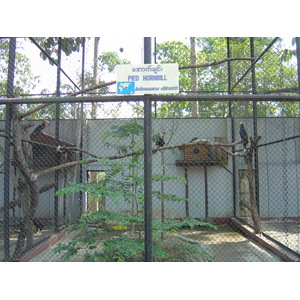 รูปถ่าย พม่า(Myanmar) ย่างกุ้ง(Yangon) 2005-01 161