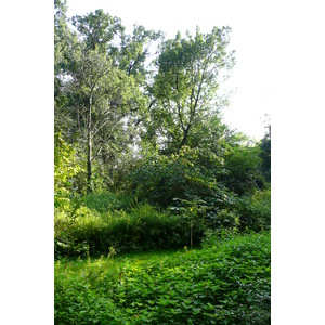 รูปถ่าย ฝรั่งเศส(France) ปารีส(Paris) สวนพันธ์ุพืช(Jardin des Plantes) 2007-08 99