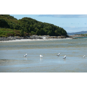 รูปถ่าย อังกฤษ(United Kingdom) สกอตแลนด์(Scotland) ชายฝั่งแอริเซก(Arisaig coast) 2011-07 37