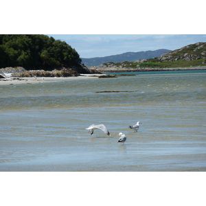รูปถ่าย อังกฤษ(United Kingdom) สกอตแลนด์(Scotland) 2011-07 70