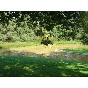 รูปถ่าย ฝรั่งเศส(France) บรอแฟร์เร(Branfere) 2004-08 14