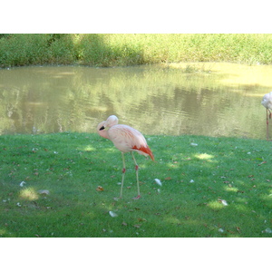 รูปถ่าย ฝรั่งเศส(France) บรอแฟร์เร(Branfere) 2004-08 10