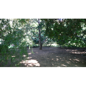 รูปถ่าย สาธารณรัฐเช็ก(Czech Republic) ปราก(Prague) สวนโซฟีน(Zofin Garden) 2007-07 9