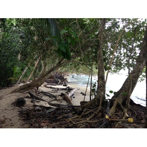รูปถ่าย คอสตาริกา(Costa Rica) กาอุยตา(Cahuita) 2015-03 232