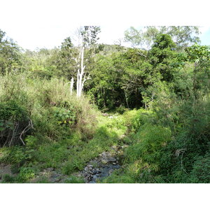 รูปถ่าย นิวแคลิโดเนีย(New Caledonia) ถนนจากตงตูตาไปทีโอ(Tontouta to Thio road) 2010-05 128