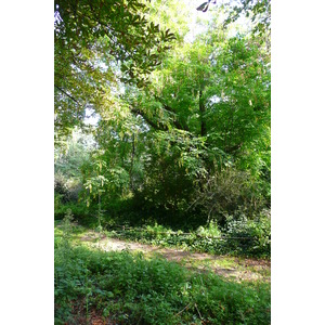 รูปถ่าย ฝรั่งเศส(France) ปารีส(Paris) สวนพันธ์ุพืช(Jardin des Plantes) 2007-08 107