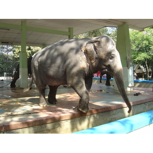 รูปถ่าย พม่า(Myanmar) ย่างกุ้ง(Yangon) 2005-01 131