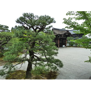 รูปถ่าย ญี่ปุ่น(Japan) เกียวโต(Kyoto) ตำหนักหลวงวัดนินนะจิ(Ninna ji imperial Residence) 2010-06 57