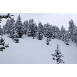 รูปถ่าย ฝรั่งเศส(France) เลทรัววาเล(Les 3 Vallees) 2013-03 277