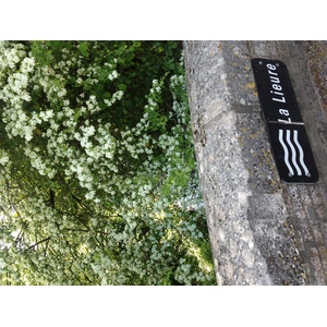 รูปถ่าย ฝรั่งเศส(France) ลียงส์-ลา-ฟอแร(Lyons La Foret) 2014-05 95
