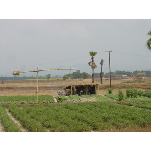 รูปถ่าย พม่า(Myanmar) ถนนจากทวายไปหาดหม่องมะกัน(Road from Dawei to Maungmagan beach) 2005-01 26