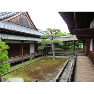 รูปถ่าย ญี่ปุ่น(Japan) เกียวโต(Kyoto) ตำหนักหลวงวัดนินนะจิ(Ninna ji imperial Residence) 2010-06 46