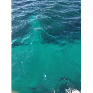 รูปถ่าย อิตาลี(Italy) เกาะกาเปรรา(Caprera) 2012-09 9