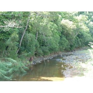 รูปถ่าย นิวแคลิโดเนีย(New Caledonia) ถนนจากตงตูตาไปทีโอ(Tontouta to Thio road) 2010-05 17