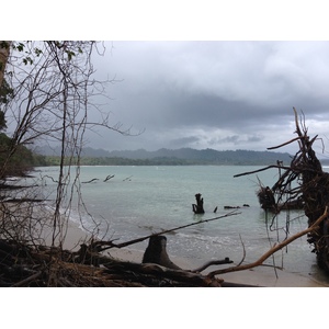 รูปถ่าย คอสตาริกา(Costa Rica) กาอุยตา(Cahuita) 2015-03 241