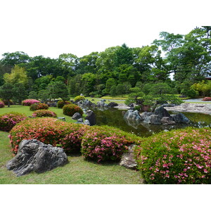 รูปถ่าย ญี่ปุ่น(Japan) เกียวโต(Kyoto) ปราสาทนิโจ(Nijo Castle) 2010-06 115