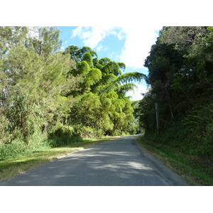 รูปถ่าย นิวแคลิโดเนีย(New Caledonia) ถนนจากตงตูตาไปทีโอ(Tontouta to Thio road) 2010-05 35