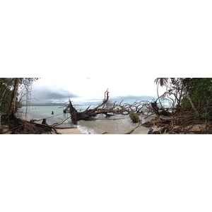 รูปถ่าย คอสตาริกา(Costa Rica) กาอุยตา(Cahuita) 2015-03 227