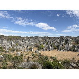 รูปถ่าย จีน(China) ป่าหินสือหลิน(Shilin Stone Forest) 2026-01 390