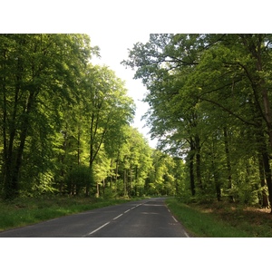 รูปถ่าย ฝรั่งเศส(France) ลียงส์-ลา-ฟอแร(Lyons La Foret) 2014-05 87