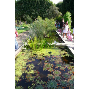 รูปถ่าย ฝรั่งเศส(France) ปารีส(Paris) สวนพันธ์ุพืช(Jardin des Plantes) 2007-08 61