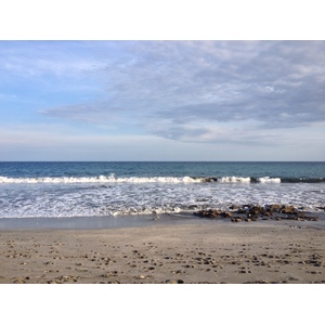 รูปถ่าย คอสตาริกา(Costa Rica) มอนเตซูมา(Montezuma) 2015-03 474