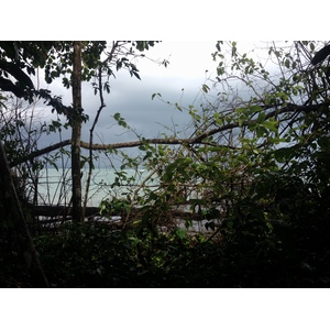 รูปถ่าย คอสตาริกา(Costa Rica) กาอุยตา(Cahuita) 2015-03 40