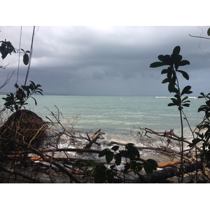 รูปถ่าย คอสตาริกา(Costa Rica) กาอุยตา(Cahuita) 2015-03 56
