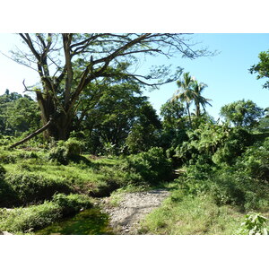 รูปถ่าย ฟิจิ(Fiji) แม่น้ำซิงกาโตกา(Sigatoka river) 2010-05 2