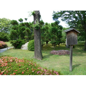 รูปถ่าย ญี่ปุ่น(Japan) เกียวโต(Kyoto) ปราสาทนิโจ(Nijo Castle) 2010-06 13
