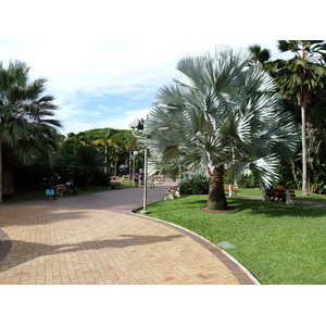 รูปถ่าย นิวแคลิโดเนีย(New Caledonia) นูเมอา(Noumea) 2010-05 37