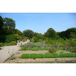รูปถ่าย ฝรั่งเศส(France) ปารีส(Paris) สวนพันธ์ุพืช(Jardin des Plantes) 2007-08 96