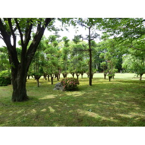 รูปถ่าย ญี่ปุ่น(Japan) เกียวโต(Kyoto) ปราสาทนิโจ(Nijo Castle) 2010-06 11