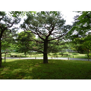 รูปถ่าย ญี่ปุ่น(Japan) เกียวโต(Kyoto) ปราสาทนิโจ(Nijo Castle) 2010-06 25